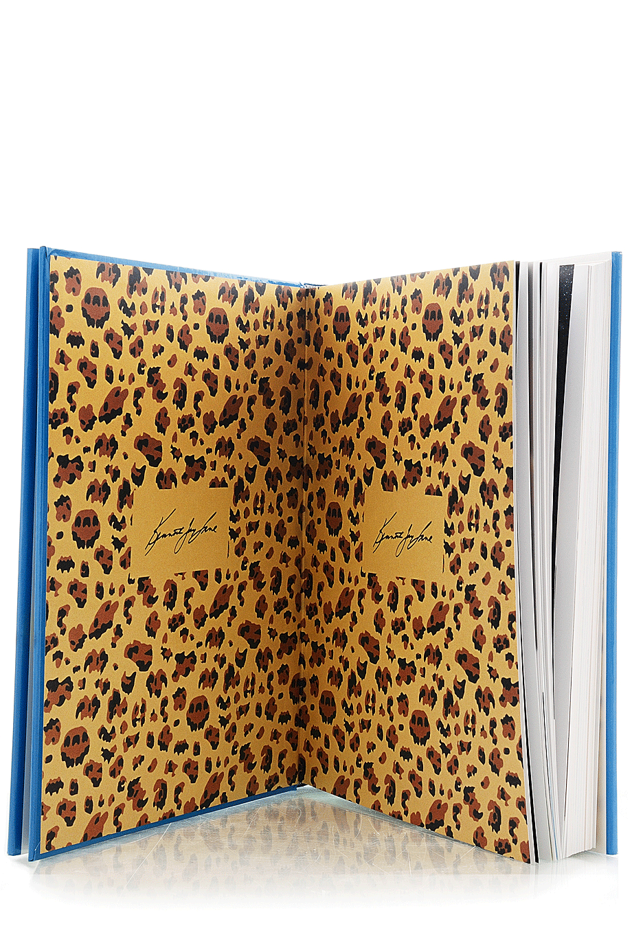 KENNETH JAY LANE SHAMELESSLY Famous Jewelry Book