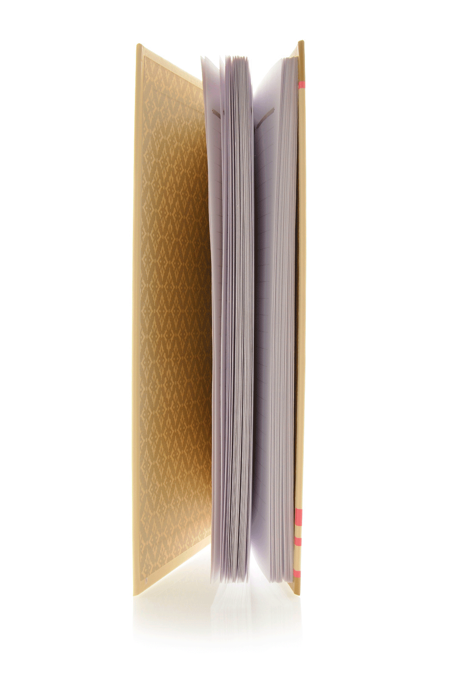 HAMSA Golden Book for Notes